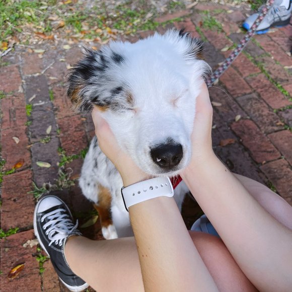 Meet your Posher, Laney - Picture 1 of 1